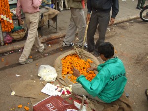 Delhi vendor