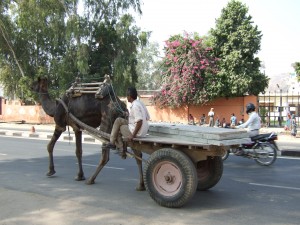 Do contractors in India show up when you call them, or do their camels get stuck in traffic?