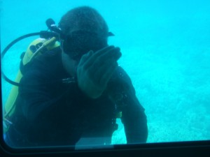 Reef Dancer Diver bringing creatures to our portholes for our viewing pleasure.