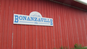 It's hard to accurately describe Bonanzaville in West Fargo. It's the dustiest, most raggledy-paggledy museum we've ever been to, but there is something for everyone here. There are authentic pioneer houses, a 1950s creamery, many other buildings (jail, courthouse, schoolhouse, homes from different eras), a huge tractor warehouse and an airplane hangar. 