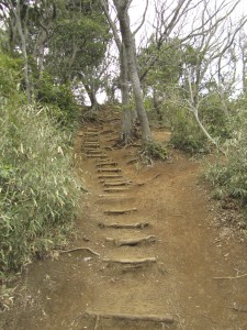 Sometimes the trail looks like this.