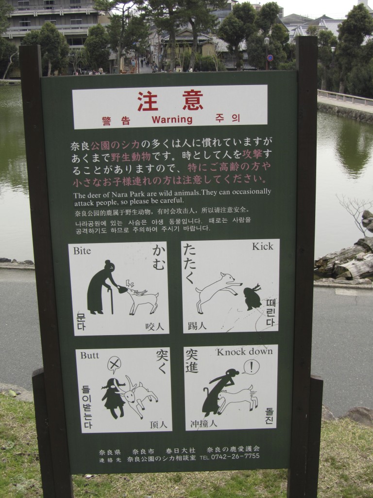 Deer etiquette at the municipal park in the city of Nara.
