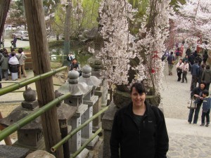 Joining the masses during cherry blossom photo-op season at a Nara temple.