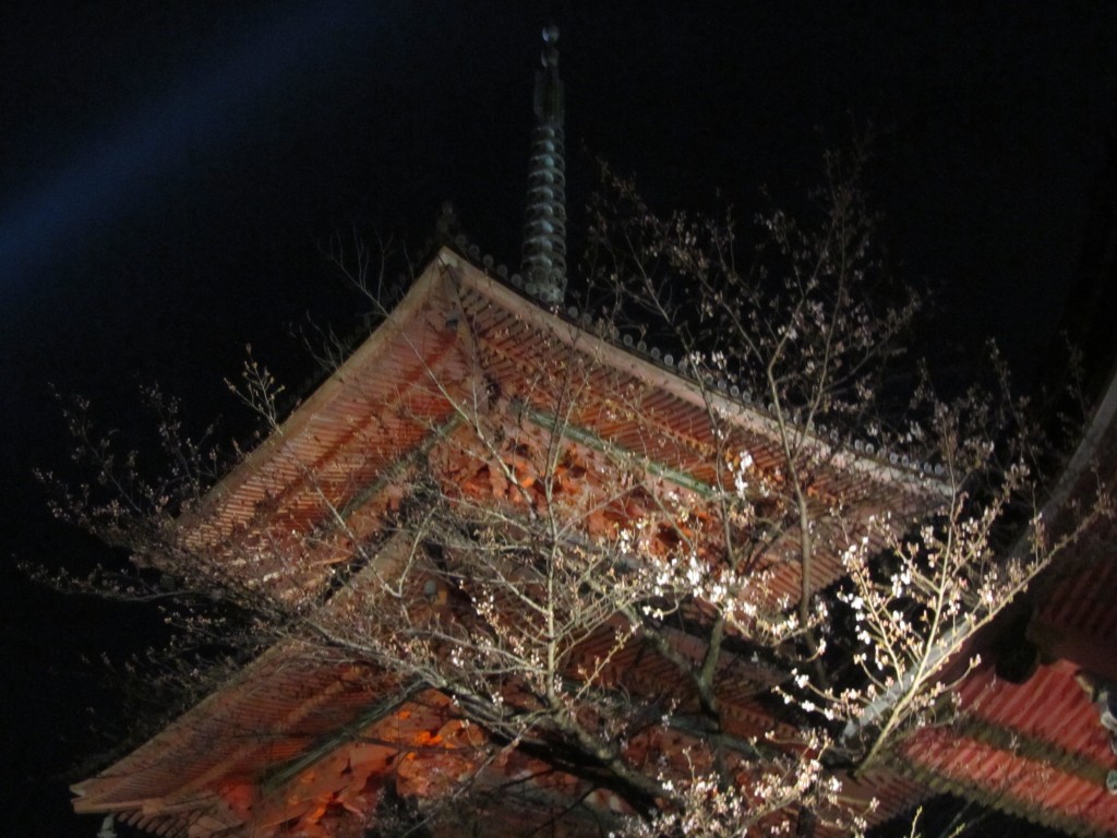 During cherry blossom season the Kyoto temples are lit up at night. Particularly spectacular is Kyuzaderma Temple.