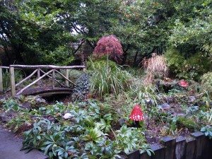 Fairy Garden at Belvedere House.