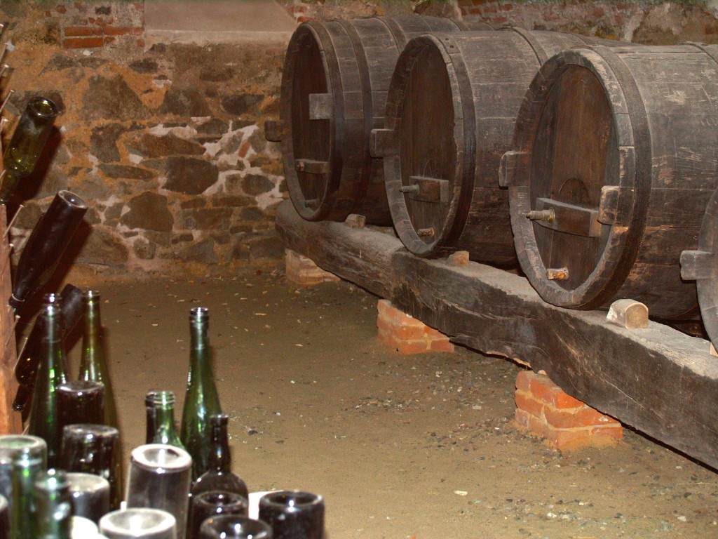 The wine cellar at Castello della Manta, just outside of Saluzzo and one of many castles we visited on this trip.