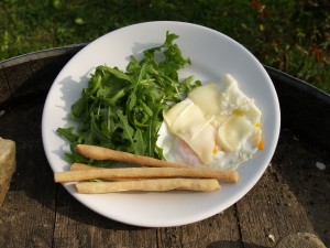 Homecooked breakfast.