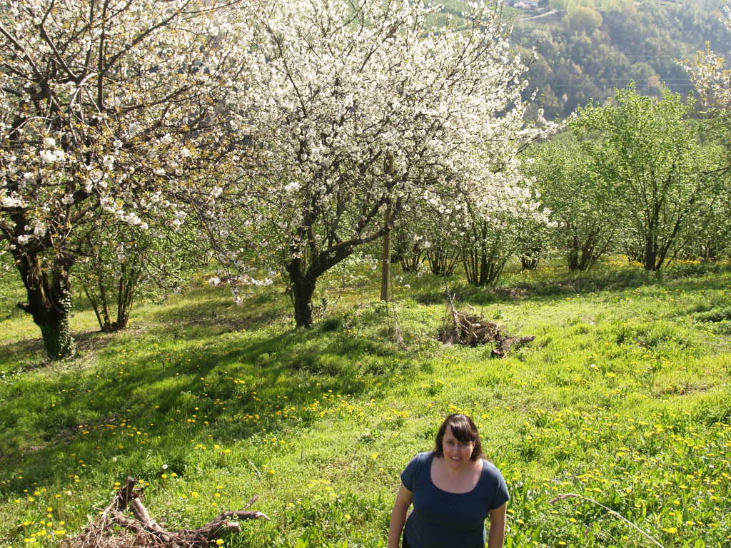 Spring time at our rental house in Piemonte.